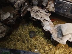 -御轩足道·SPA·养生·保健(瑞金北路店)