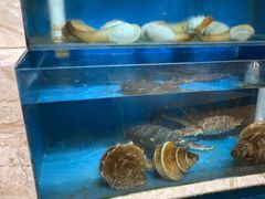 -福娣·金沙银贝海鲜火锅