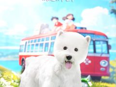 -FAELING PETS美天灵宠物(富力广场店)