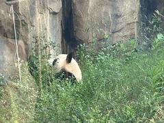 -宁波野生动物园