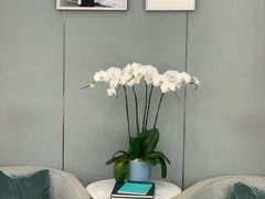 -Tiffany & Co.蒂芙尼
(杭州大厦店)
