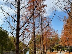 -元大都城垣遗址公园