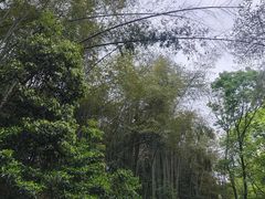 -十里琅珰