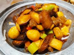 蜀香牛肉-东来菜馆•手抓海鲜家常菜•海鲜锅贴(鸽子窝店)