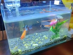 -华夏良子·足道SPA艾灸(王府井店)