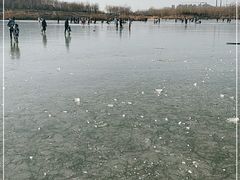-马家湾湿地公园