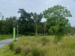 -两河城市森林公园