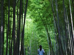 -采石矶景区