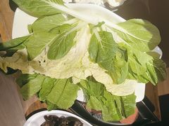-快乐小羊·内蒙牛羊肉火锅(流花中心店)