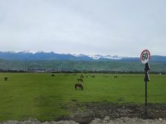 -新疆那拉提国家旅游度假区