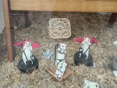 -麦当劳(平和堂店)