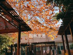 -春晖园度假酒店温泉