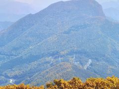 -白草畔自然风景区