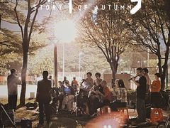 -深圳市宝安体育中心体育场