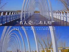 -大兴滨河森林公园