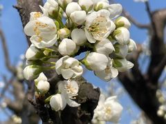 -梁鸿国家湿地公园