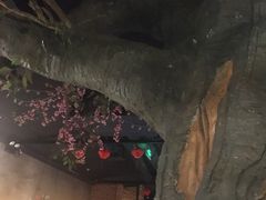 -树下时尚餐厅(翠园街店)