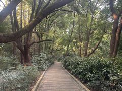 -同里国家湿地公园