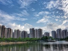 -新江湾城公园