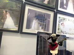 -bobo高端证件照工作室(三元桥店)