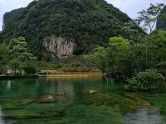-靖西鹅泉风景区