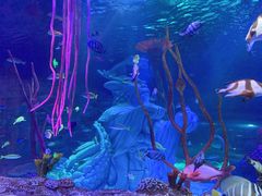 -沈阳海洋探索中心