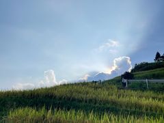 -紫鹊界梯田景区