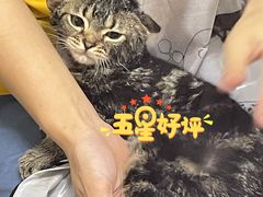 -乐嘟嘟宠物医院