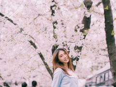 -上海南浦大桥长途旅游客运站