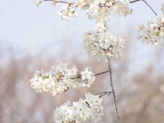 -凤凰沟景区