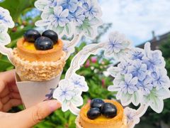 -百年同和·江南点心院(山塘街店)