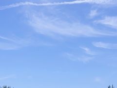 -磬锤峰森林公园