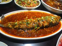 -陈麻婆豆腐总店