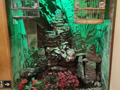 -郭家大院(新源店)