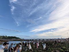 -小麦岛公园