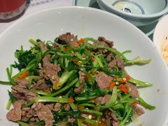 香菜炒牛肉-壹盏灯(惠农店)
