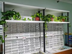 -视野联行眼镜•蔡司•依视路(温江店)