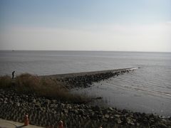 -瀛洲公园
