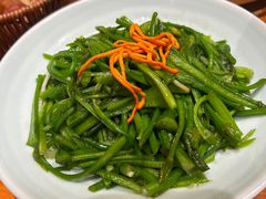 清炒水性杨花-老滇山寨•云南特色菜•地方菜•民族风情歌舞表演(金碧店)