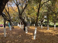 -山东师范大学(千佛山校区)