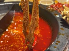 -蜀大侠火锅(总府路店)