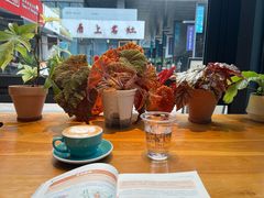 -1861意大利餐厅(文化广场店)