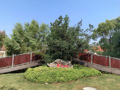 -上海长兴岛郊野公园