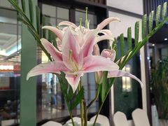 -南堂馆·新川菜(春熙路店)