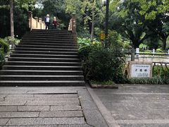 -晓港公园
