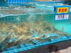 -点都德·毕德寮