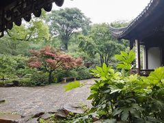 -苏州上方山国家森林公园
