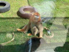 -西安秦岭野生动物园