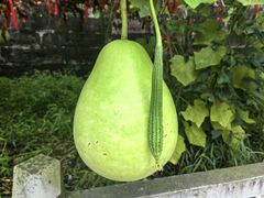 -金堂县云顶石城风景区