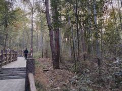 -青龙山国家森林公园